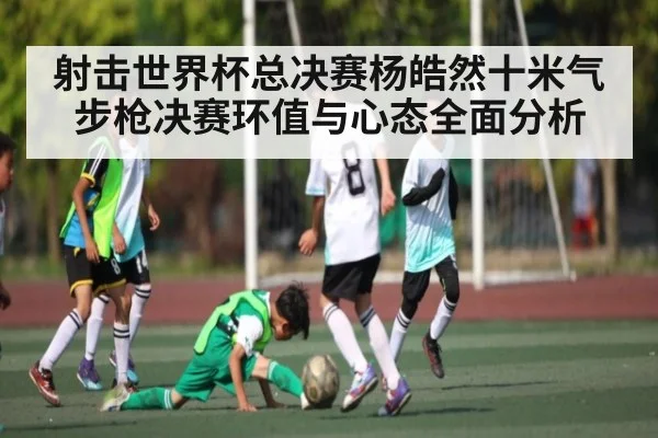 射击世界杯总决赛杨皓然十米气步枪决赛环值与心态全面分析 - kaiyun